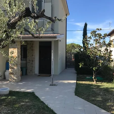 Colombella Collerisana *